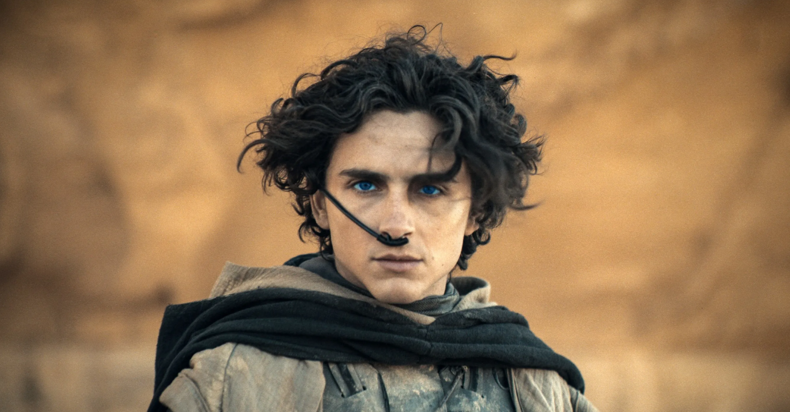 Discover how Timothée Chalamet became a global sensation. From [[Call Me By Your Name]] to [[Dune]], explore his captivating roles and rise to stardom.
